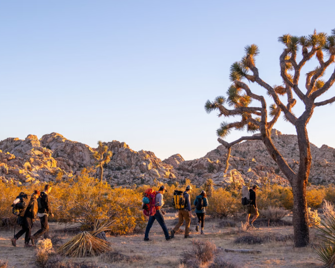 Places Where Vanlife is the Most Popular