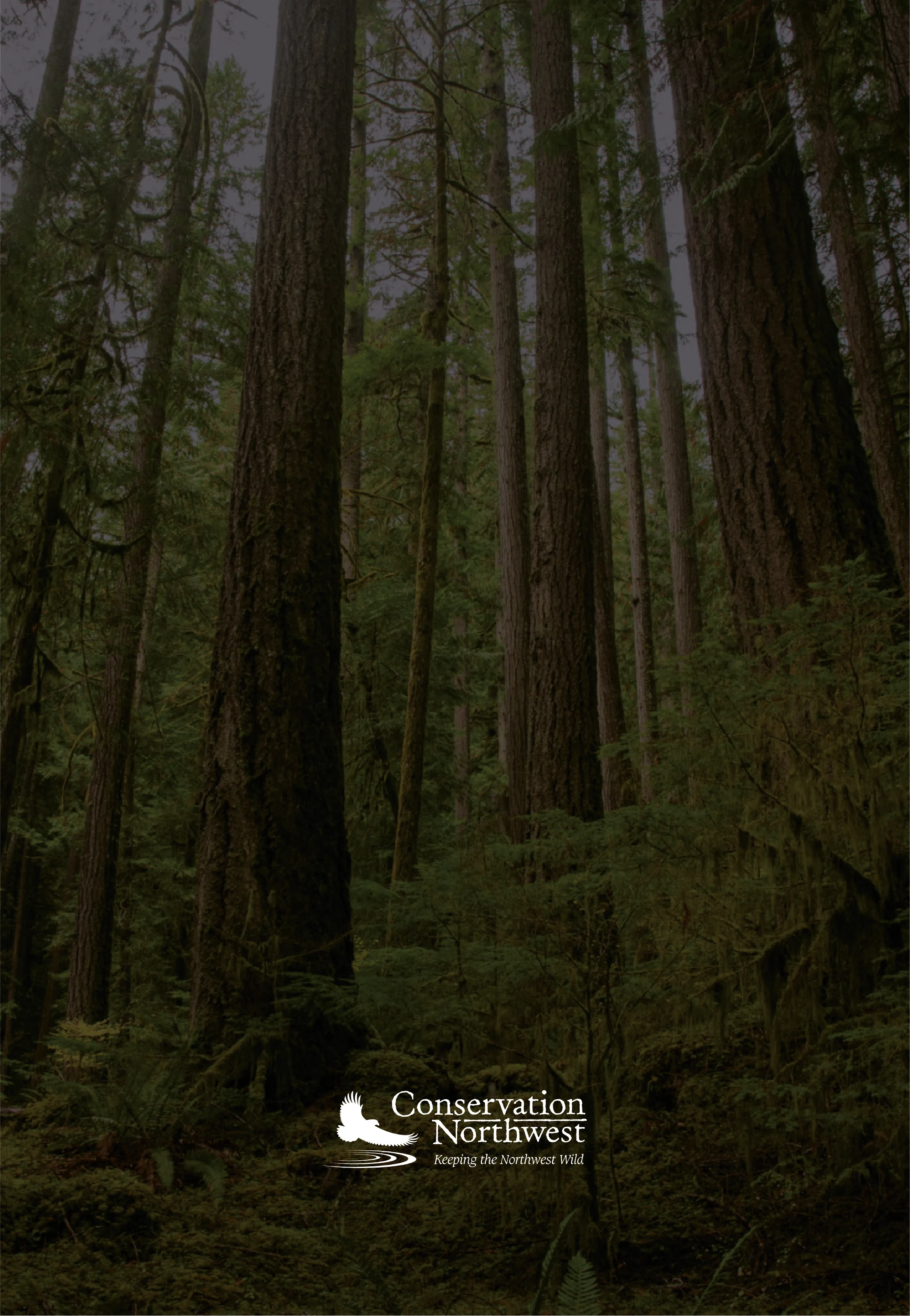 CNW_Mobile.webp