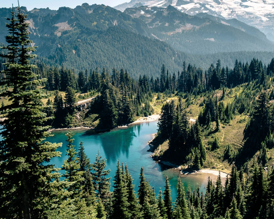 The Best Free Camping Apps for Van Life