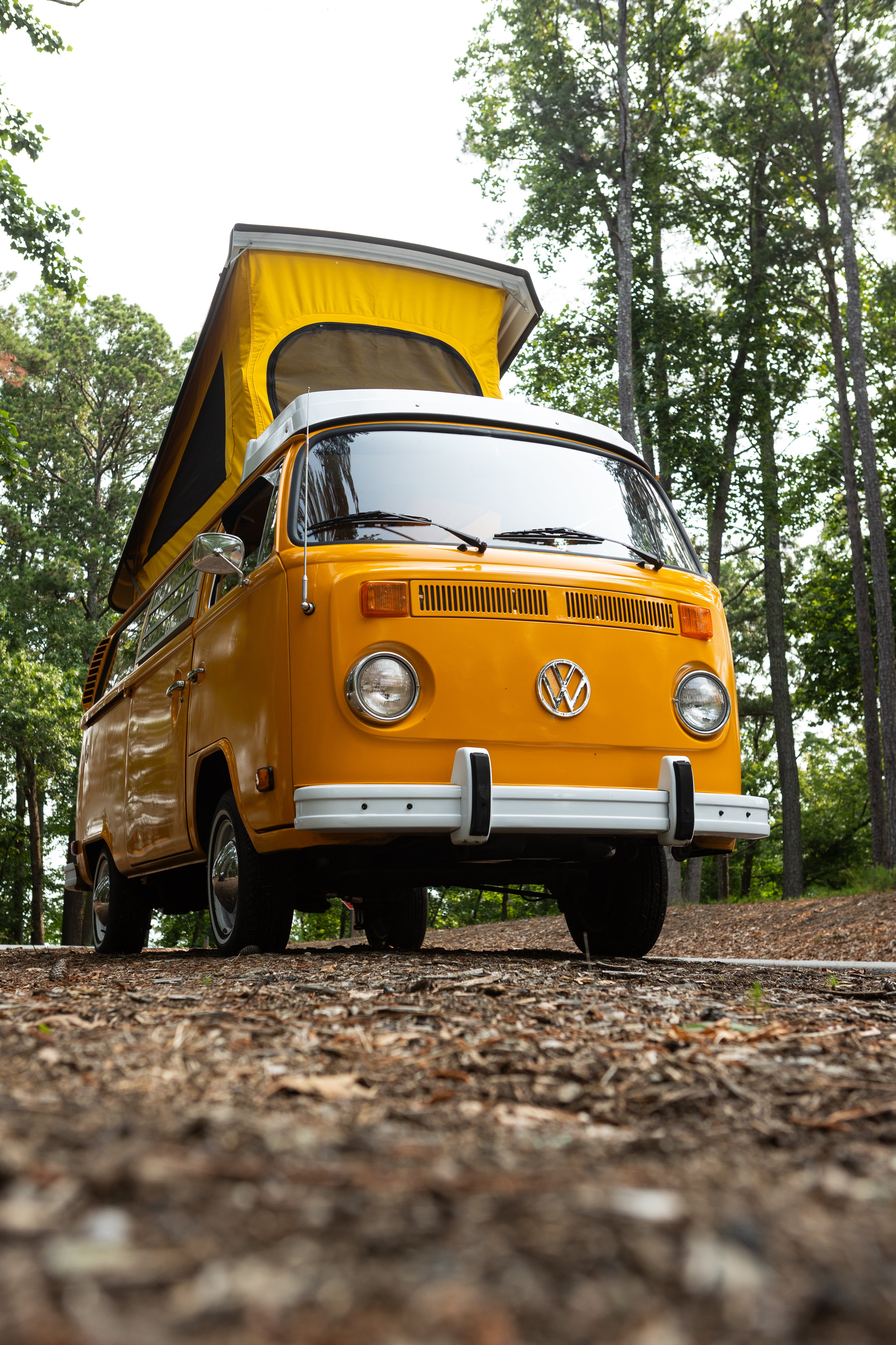 Mango_Van_Edited-5.jpg