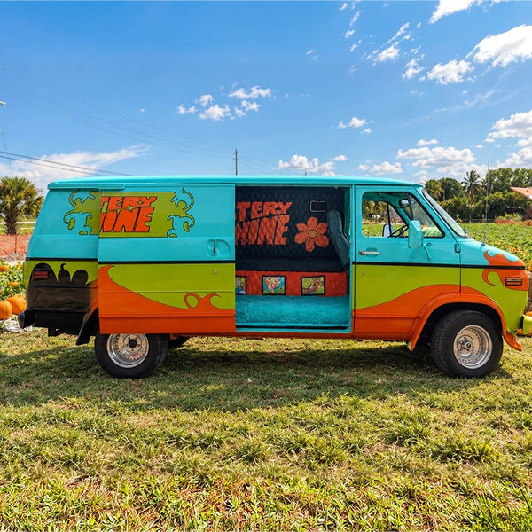 Side view of the custom van on grass with its sliding door open to a teal-carpeted interior