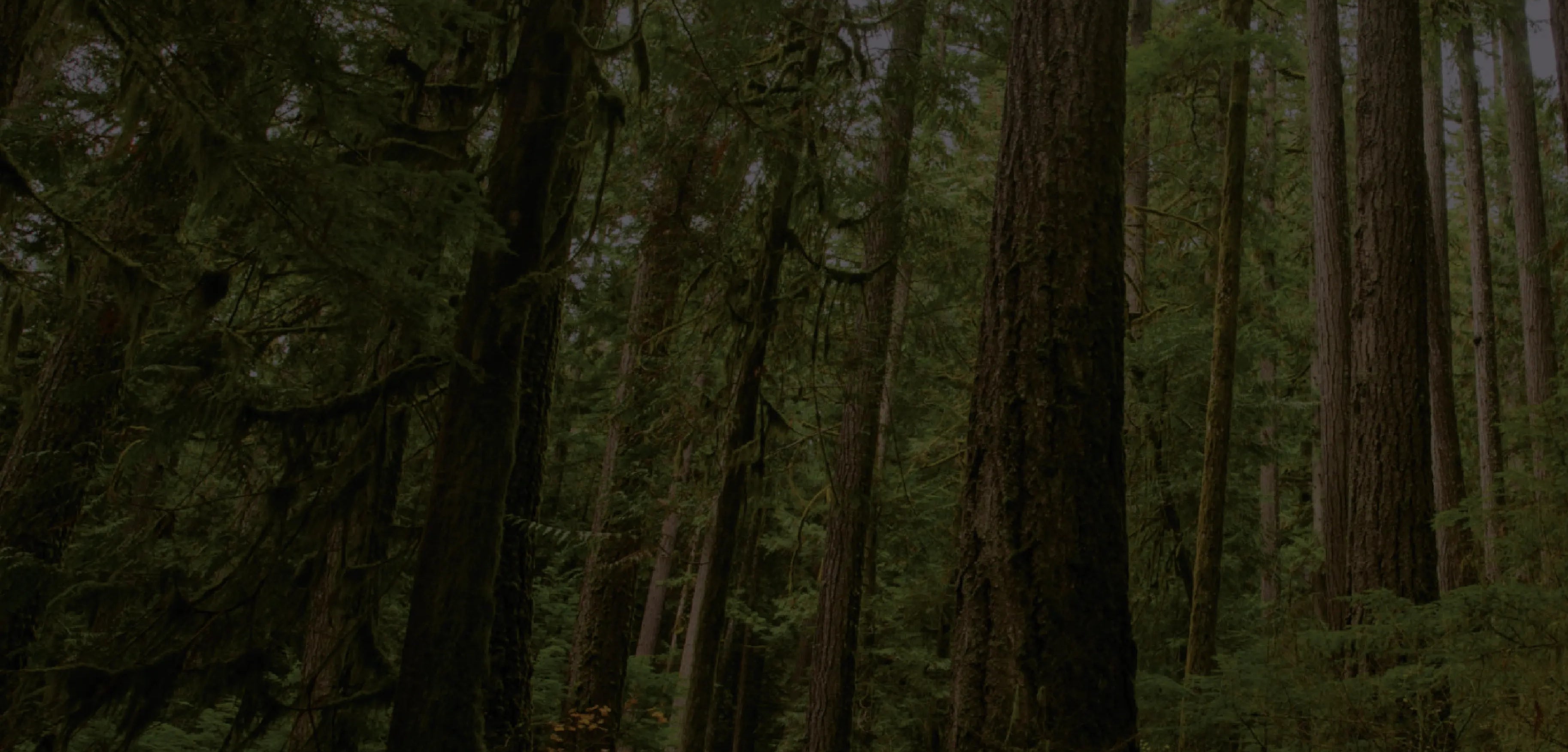 VanLife giveaway partner Conservation Northwest banner