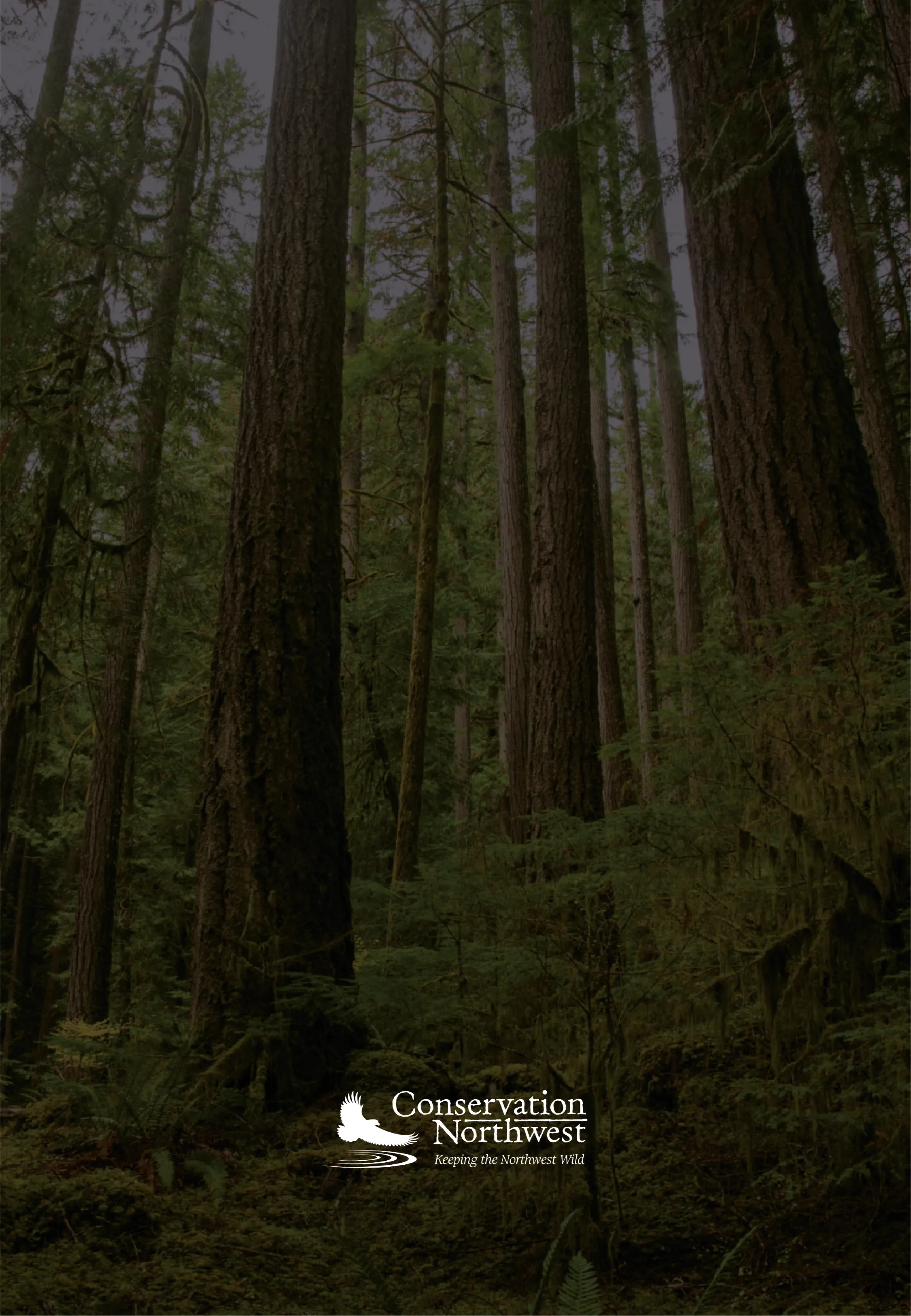 VanLife giveaway partner Conservation Northwest banner