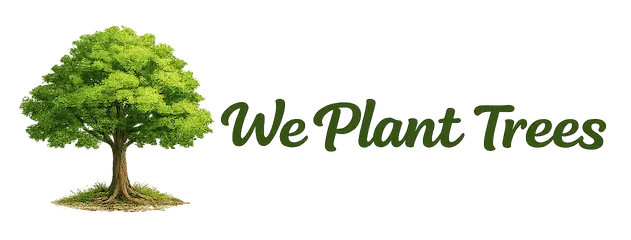 Green tree with 'We Plant Trees' text
