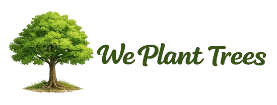 Green tree with 'We Plant Trees' text